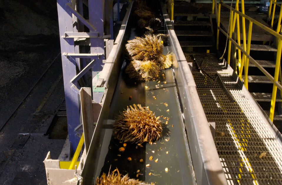 banda-transporte-soporte