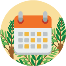 pago-de-contado-palmicultores