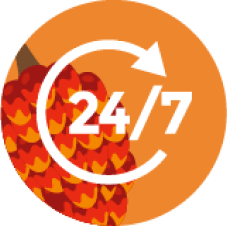 soporte-24-7-esc-palma-de-aceite