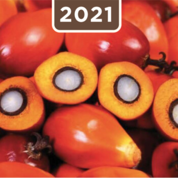 2021-reporte-sostenibilidad-extractora-de-sur-de-casanare_0