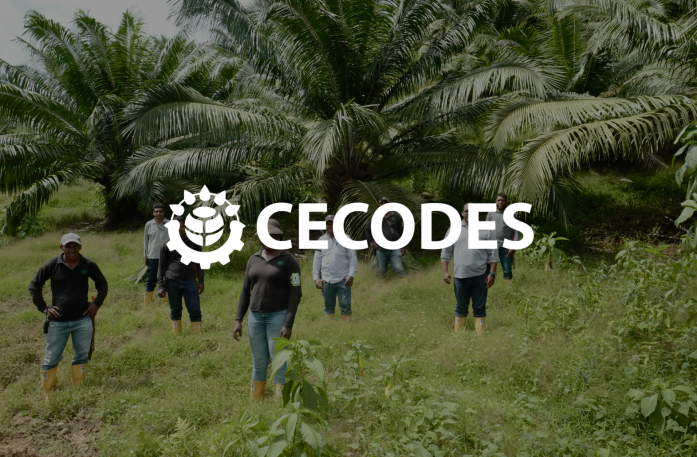 CECODES