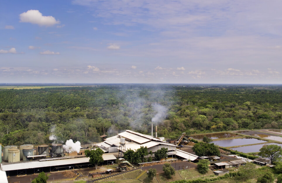 aliados-reportes-de-sostenibilidad-palma-de-aceite-extractora