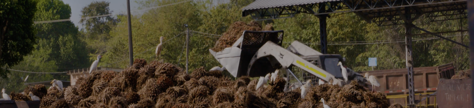 banner-aliados-extractora-de-sur-de-casanare