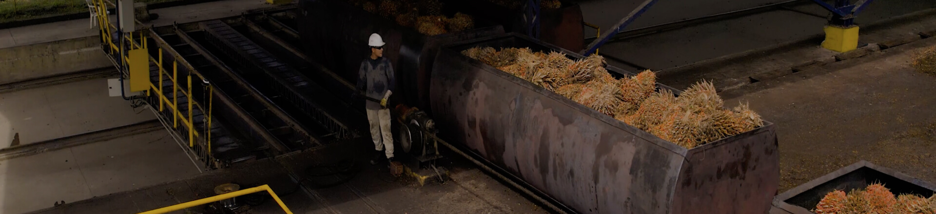 banner-docuemntos-publicos-extractora-de-sur-de-casanare