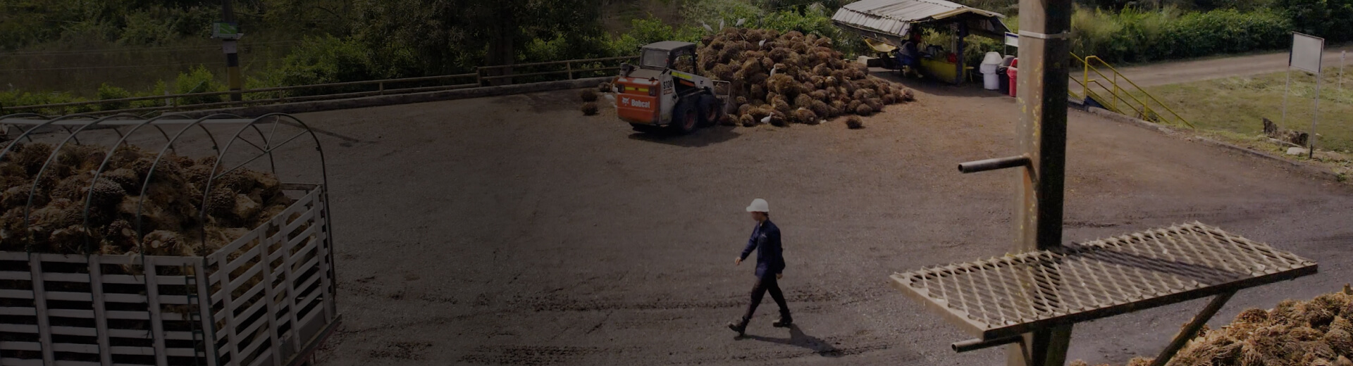 estrucutra-organigrama