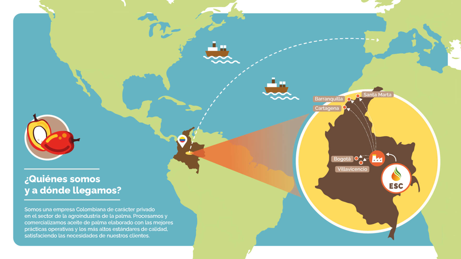 infografia-nosotros--extractora-del-sur-de-casanare-palma-de-aceite-colombia