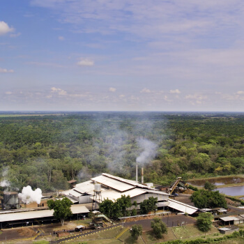 planta-extractora-sur-del-casanare-aceite-de-palma