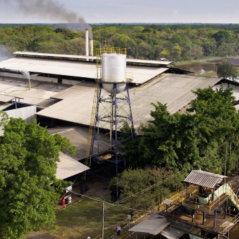 politica-de-DDHH-extractora-sur-del-casanare-aceite-de-palma