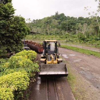 seguridad-vial--extractora-sur-del-casanare-aceite-de-palma