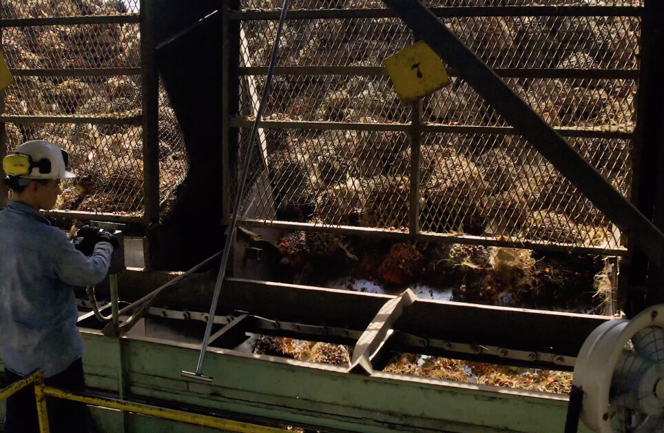 extractora-sur-del-casanare-trabaja-en-extractora-del-sur-del-casanare