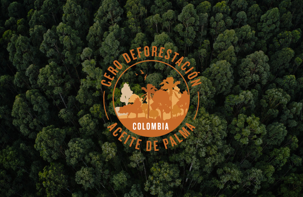 cero-deforestacion